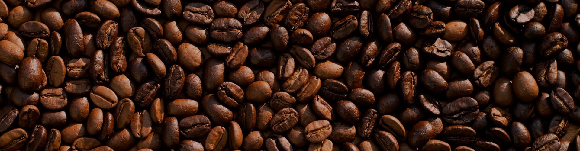Freshly Roasted to Perfection